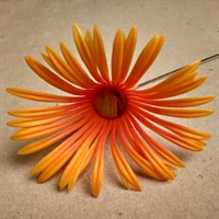 Orange gerbera, kunstig blomst fra -70'erne.